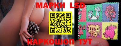 mdpv Новокубанск
