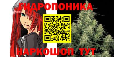 mdpv Новокубанск