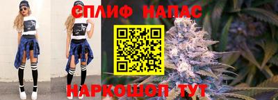 mdpv Новокубанск