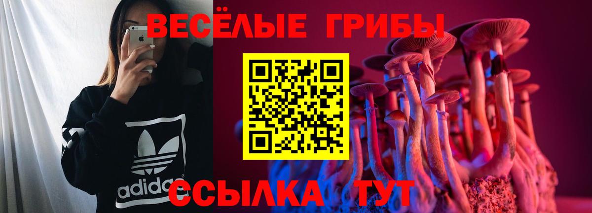 Псилоцибиновые грибы MAGIC MUSHROOMS Таганрог